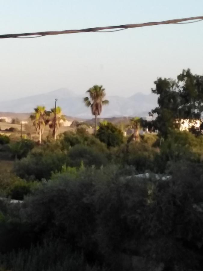 Vicky'S Apartment Near To The Airport Ολόκληρο Διαμέρισμα Antimachia Dış mekan fotoğraf